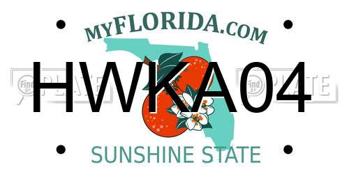 HWKA04 Florida License Plate