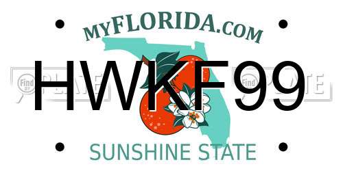 HWKF99 Florida License Plate