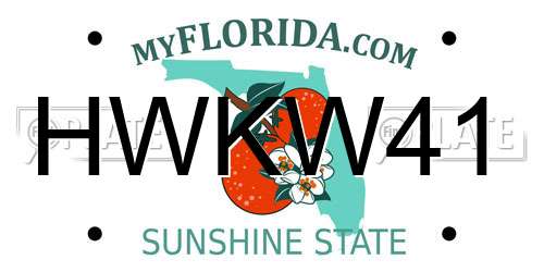 HWKW41 Florida License Plate
