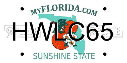 HWLC65 Florida License Plate