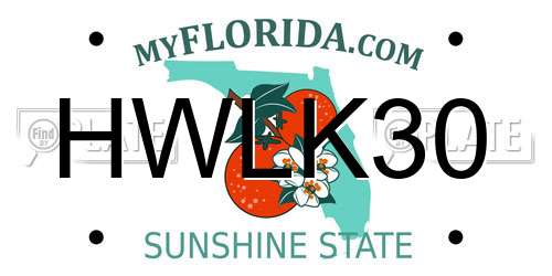 HWLK30 Florida License Plate