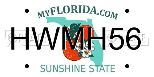 HWMH56 Florida License Plate