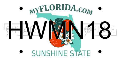 HWMN18 Florida License Plate