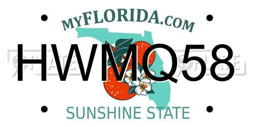 HWMQ58 Florida License Plate