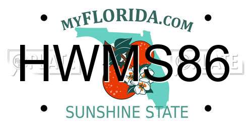 HWMS86 Florida License Plate