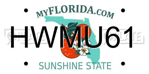 HWMU61 Florida License Plate