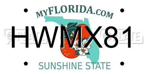 HWMX81 Florida License Plate