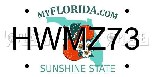 HWMZ73 Florida License Plate