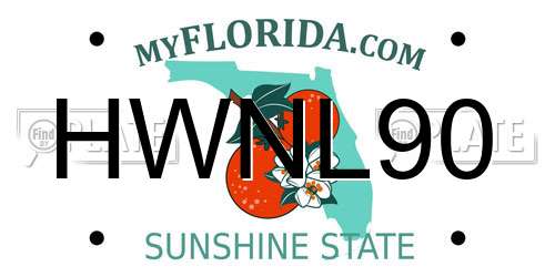 HWNL90 Florida License Plate
