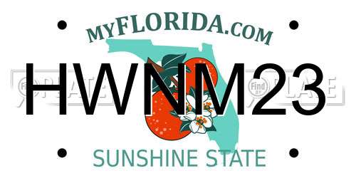 HWNM23 Florida License Plate