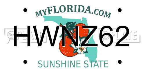 HWNZ62 Florida License Plate