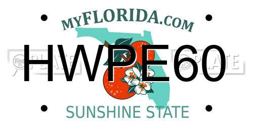 HWPE60 Florida License Plate