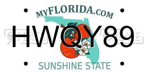 HWQY89 Florida License Plate
