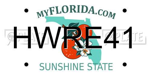 HWRE41 Florida License Plate