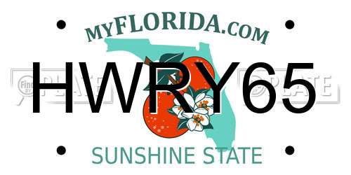 HWRY65 Florida License Plate