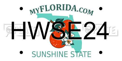 HWSE24 Florida License Plate