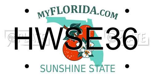 HWSE36 Florida License Plate