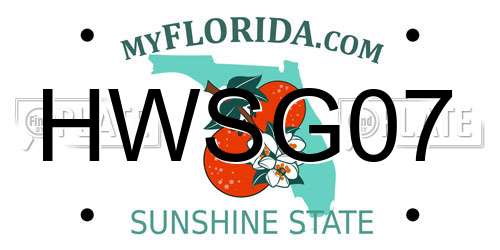 HWSG07 Florida License Plate