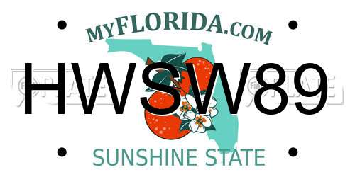 HWSW89 Florida License Plate