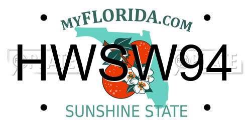HWSW94 Florida License Plate