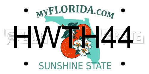 HWTH44 Florida License Plate
