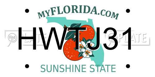 HWTJ31 Florida License Plate