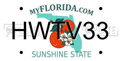 HWTV33 Florida License Plate