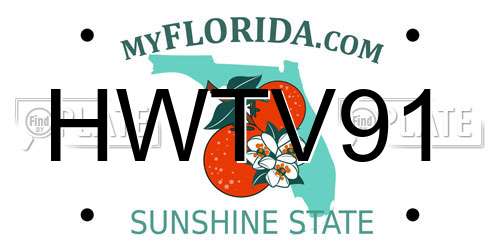 HWTV91 Florida License Plate