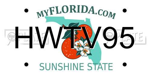 HWTV95 Florida License Plate
