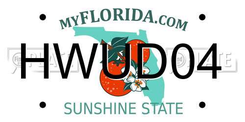 HWUD04 Florida License Plate