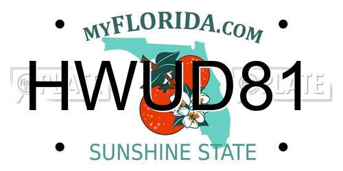 HWUD81 Florida License Plate