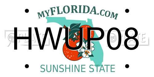 HWUP08 Florida License Plate