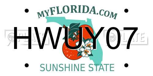 HWUY07 Florida License Plate