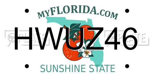 HWUZ46 Florida License Plate