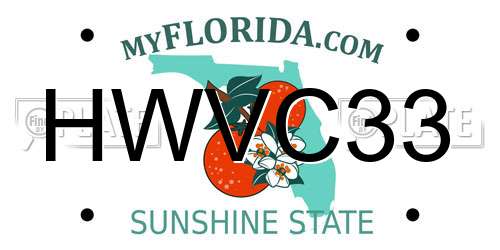 HWVC33 Florida License Plate
