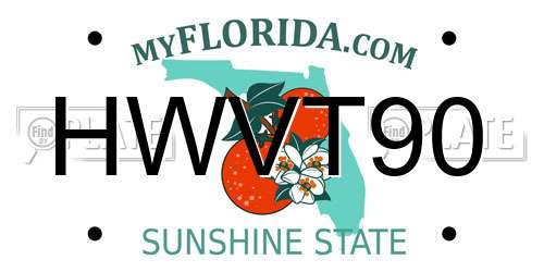 HWVT90 Florida License Plate