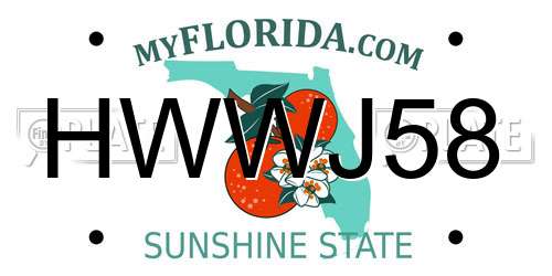 HWWJ58 Florida License Plate