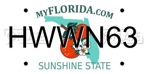 HWWN63 Florida License Plate