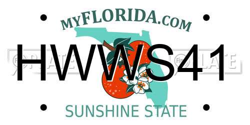 HWWS41 Florida License Plate