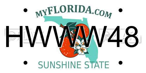 HWWW48 Florida License Plate