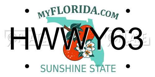 HWWY63 Florida License Plate