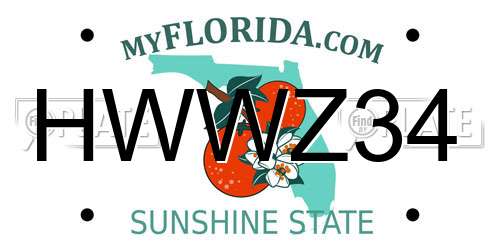 HWWZ34 Florida License Plate