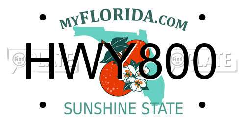 HWY800 Florida License Plate