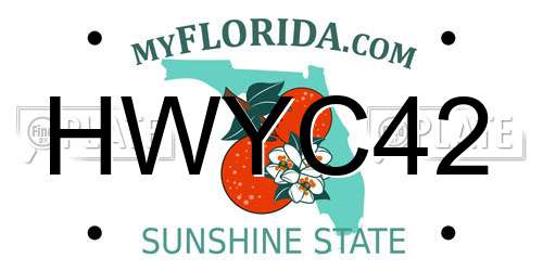 HWYC42 Florida License Plate