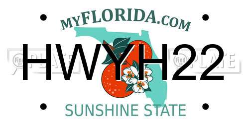 HWYH22 Florida License Plate