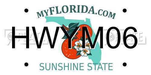 HWYM06 Florida License Plate