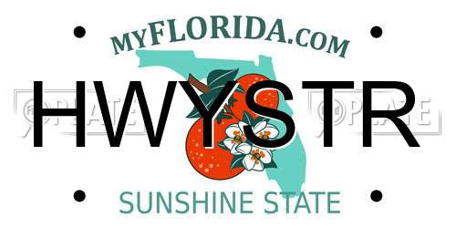 HWYSTR Florida License Plate
