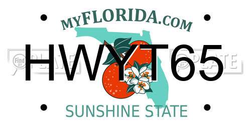 HWYT65 Florida License Plate