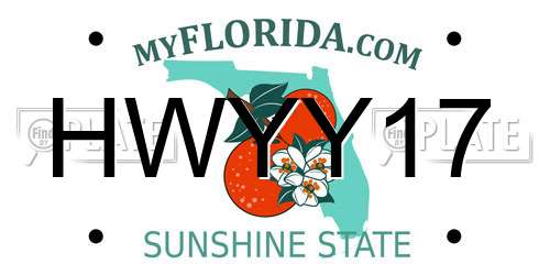 HWYY17 Florida License Plate
