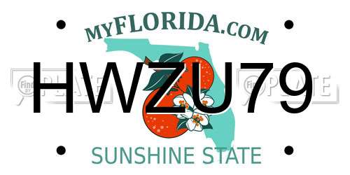 HWZU79 Florida License Plate
